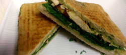 Chicken Pesto Panini